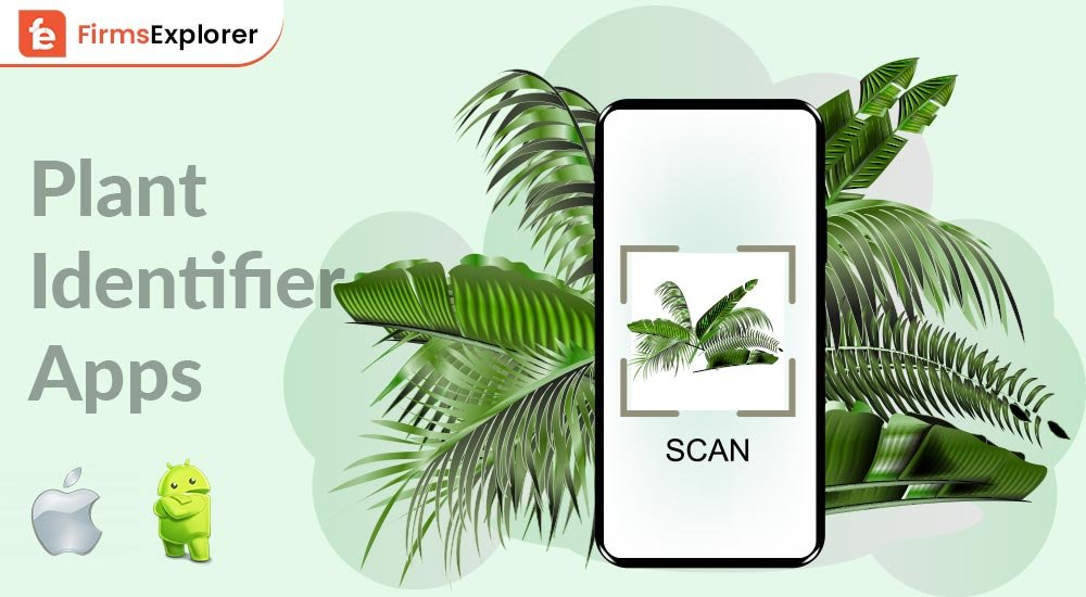 Best Plant Identifier Apps