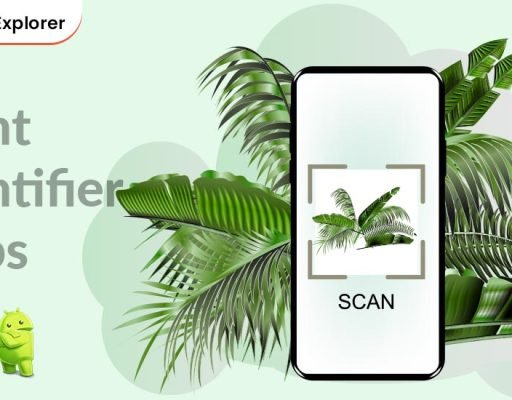 Best Plant Identifier Apps