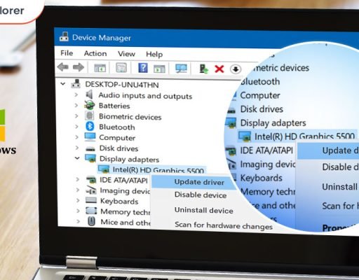 Graphics Driver Update on Windows 11, 10, 8, 7 (Step by Step)